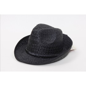 Cowboy Hat 110 